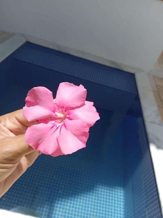 Tamandare Residence 外观 照片